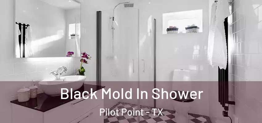  Black Mold In Shower Pilot Point - TX