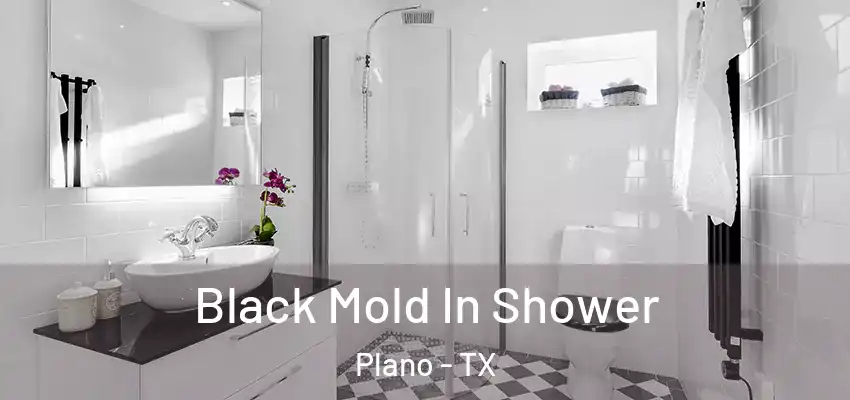  Black Mold In Shower Plano - TX