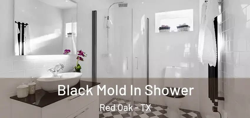 Black Mold In Shower Red Oak - TX