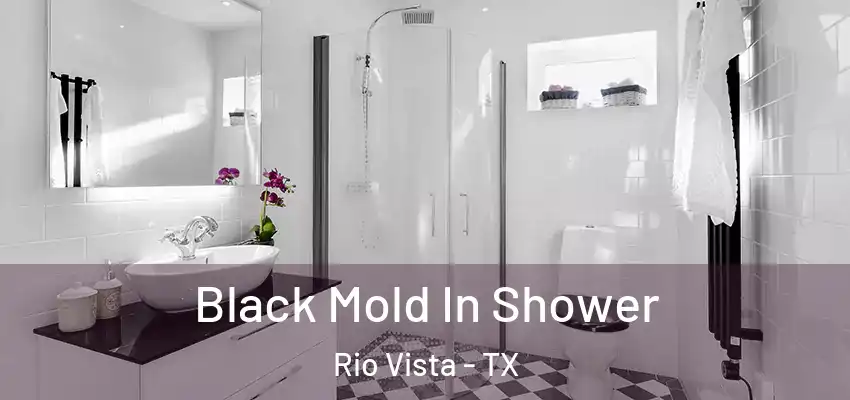 Black Mold In Shower Rio Vista - TX