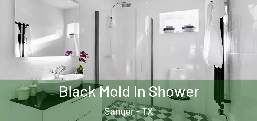 Black Mold In Shower Sanger - TX
