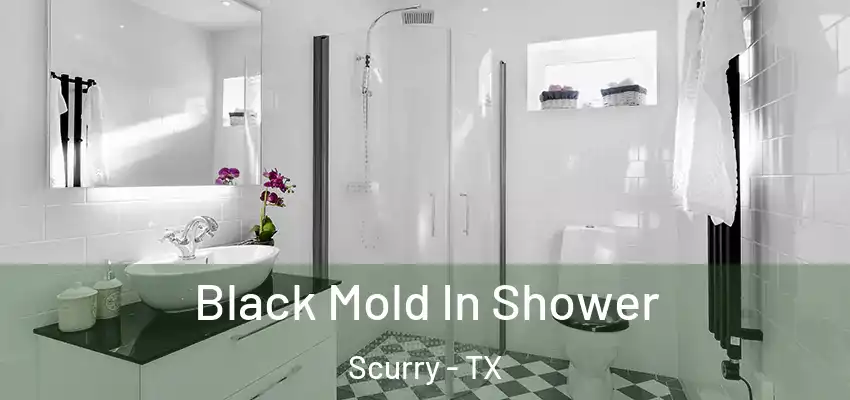 Black Mold In Shower Scurry - TX
