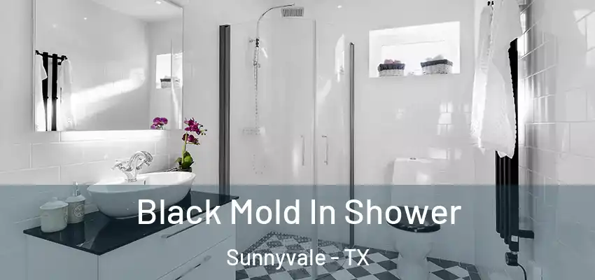 Black Mold In Shower Sunnyvale - TX
