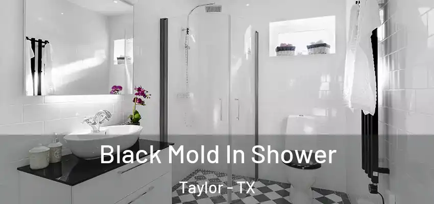  Black Mold In Shower Taylor - TX
