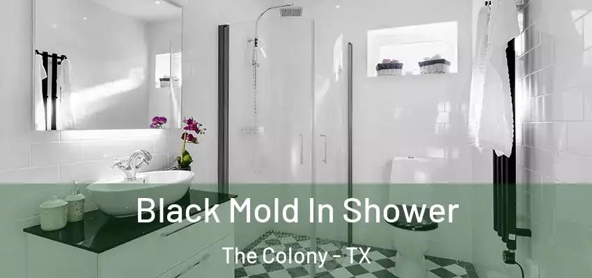 Black Mold In Shower The Colony - TX