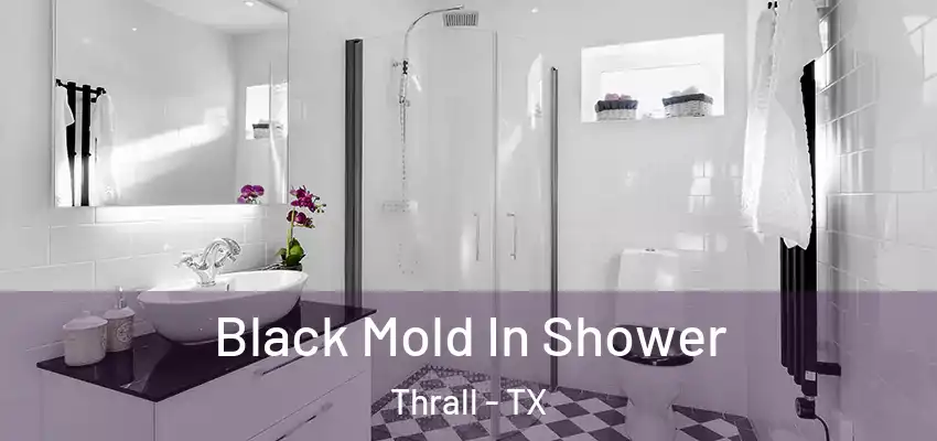 Black Mold In Shower Thrall - TX