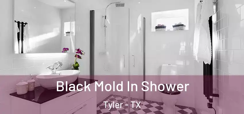  Black Mold In Shower Tyler - TX