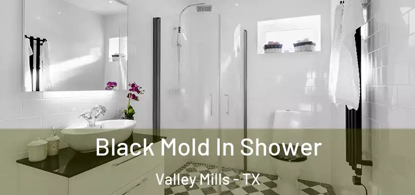  Black Mold In Shower Valley Mills - TX