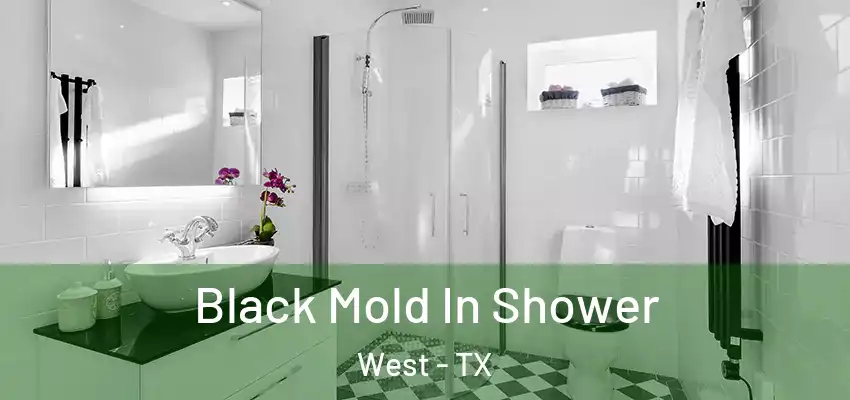 Black Mold In Shower West - TX