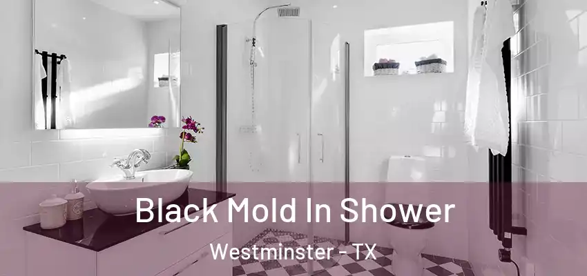 Black Mold In Shower Westminster - TX