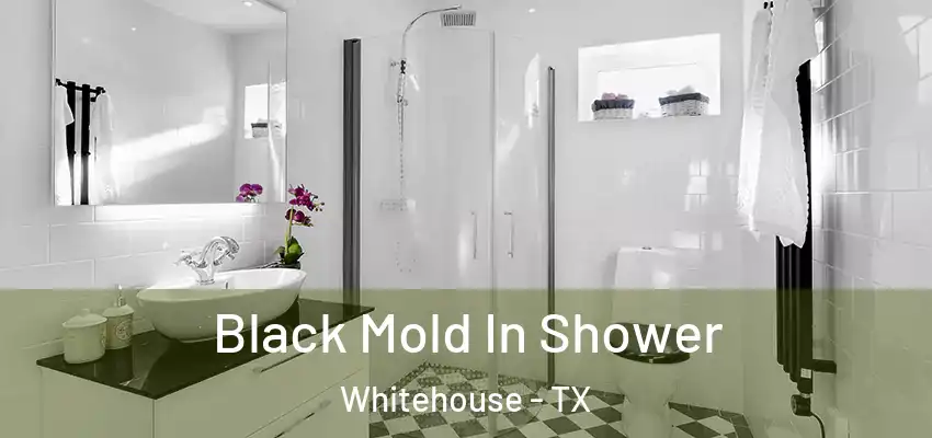 Black Mold In Shower Whitehouse - TX