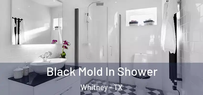  Black Mold In Shower Whitney - TX