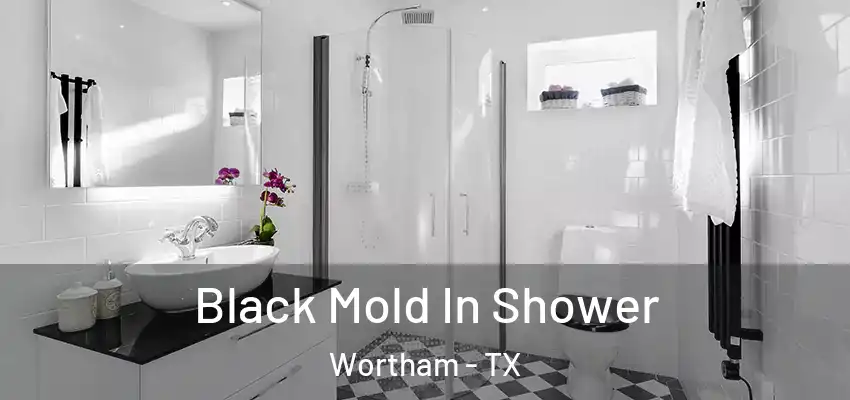  Black Mold In Shower Wortham - TX