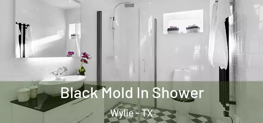 Black Mold In Shower Wylie - TX
