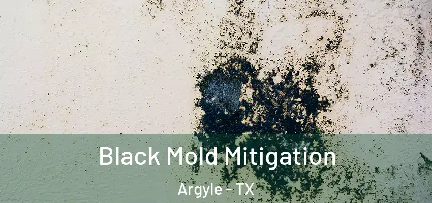  Black Mold Mitigation Argyle - TX