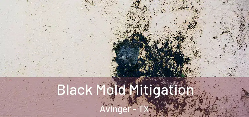  Black Mold Mitigation Avinger - TX