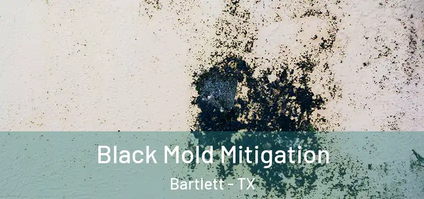 Black Mold Mitigation Bartlett - TX