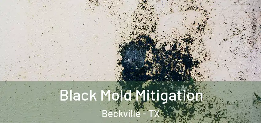  Black Mold Mitigation Beckville - TX