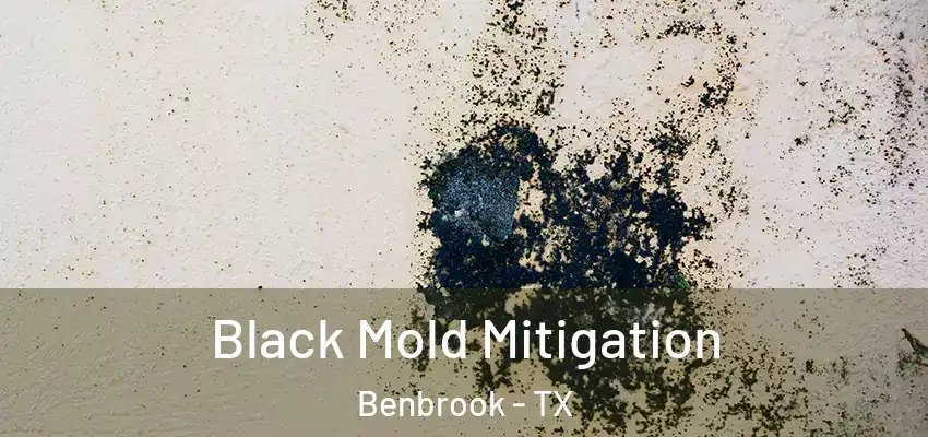  Black Mold Mitigation Benbrook - TX