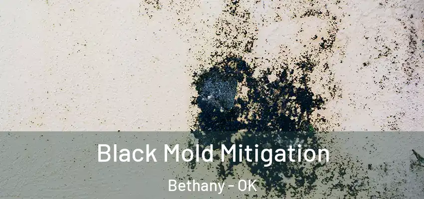  Black Mold Mitigation Bethany - OK
