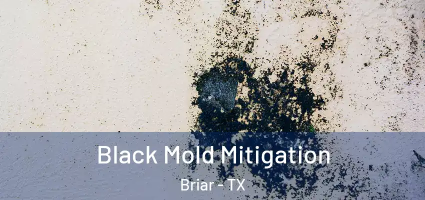 Black Mold Mitigation Briar - TX