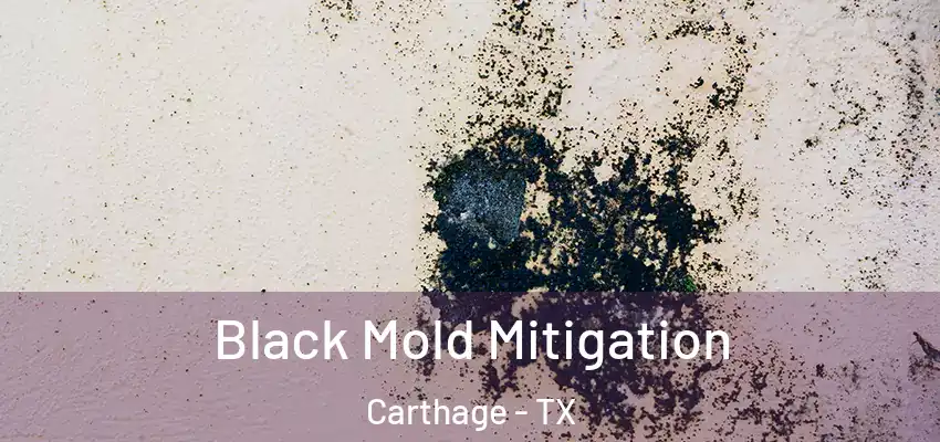 Black Mold Mitigation Carthage - TX