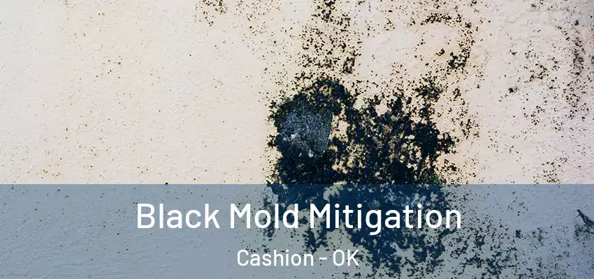 Black Mold Mitigation Cashion - OK