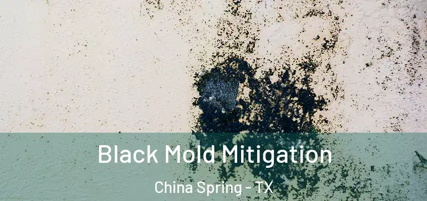 Black Mold Mitigation China Spring - TX