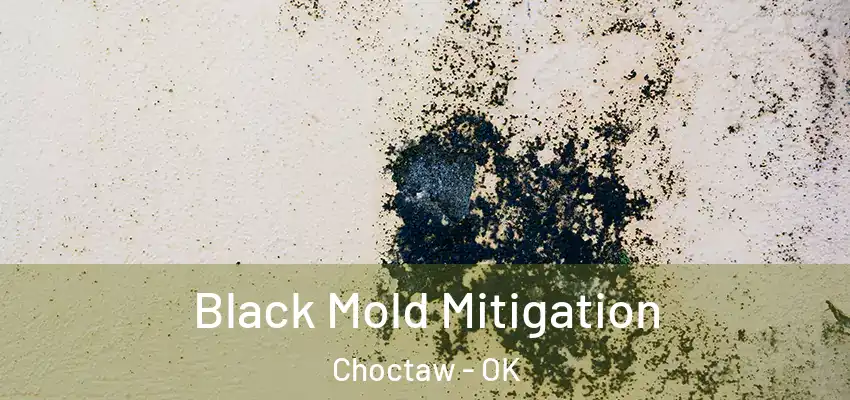  Black Mold Mitigation Choctaw - OK