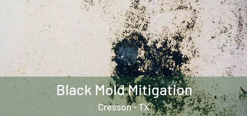 Black Mold Mitigation Cresson - TX