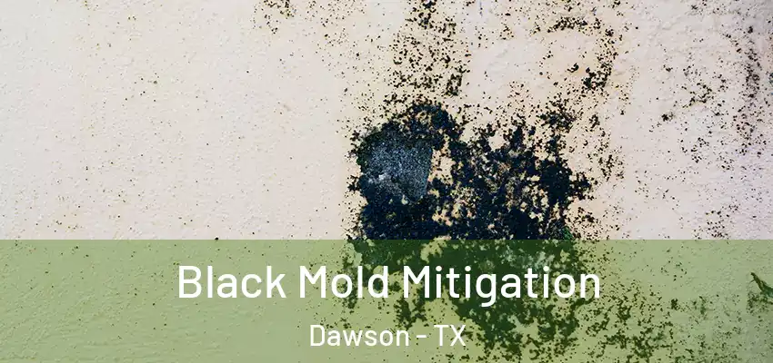 Black Mold Mitigation Dawson - TX