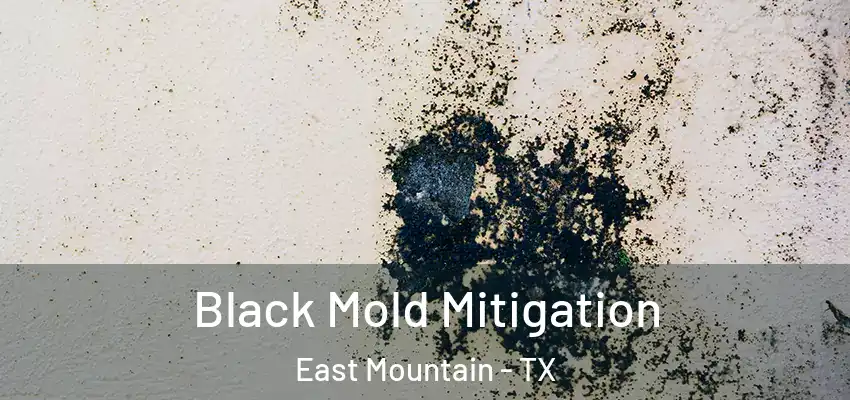  Black Mold Mitigation East Mountain - TX