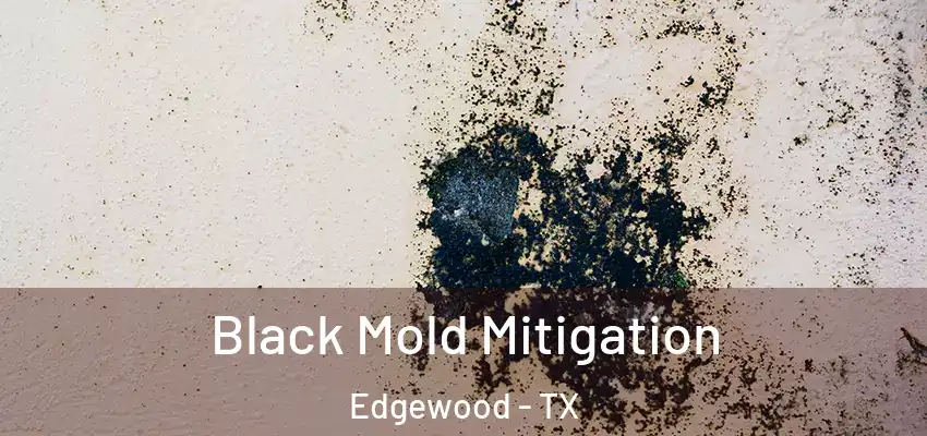 Black Mold Mitigation Edgewood - TX