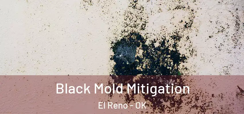  Black Mold Mitigation El Reno - OK