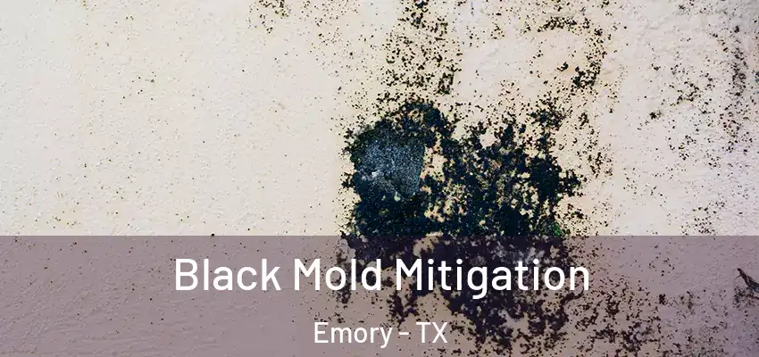  Black Mold Mitigation Emory - TX