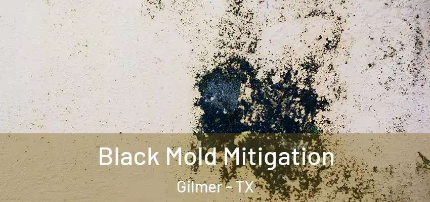  Black Mold Mitigation Gilmer - TX