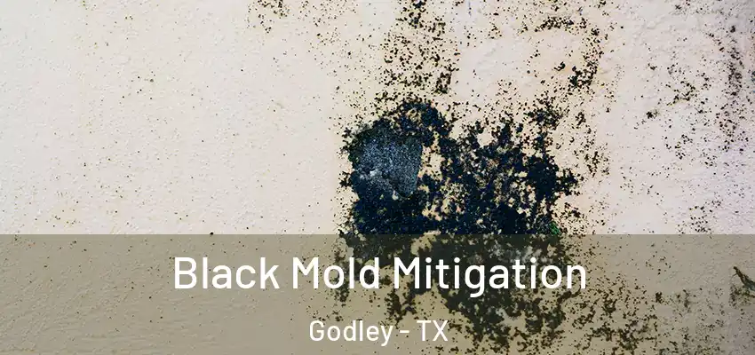  Black Mold Mitigation Godley - TX