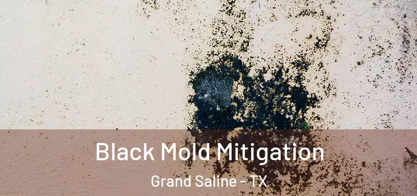 Black Mold Mitigation Grand Saline - TX