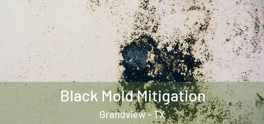 Black Mold Mitigation Grandview - TX