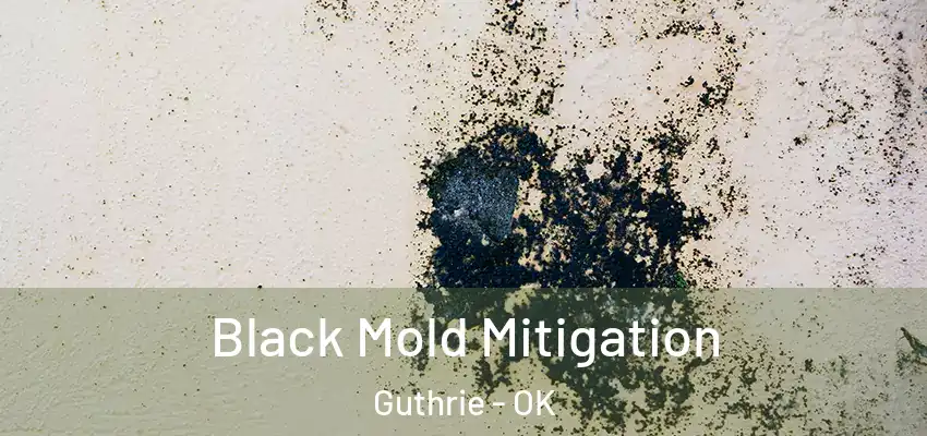  Black Mold Mitigation Guthrie - OK