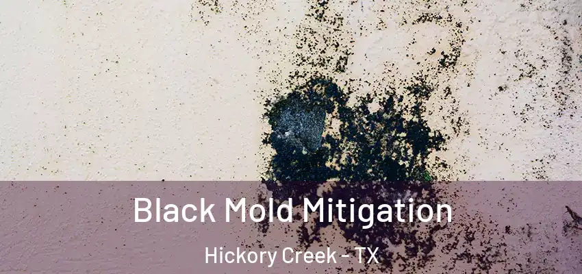 Black Mold Mitigation Hickory Creek - TX