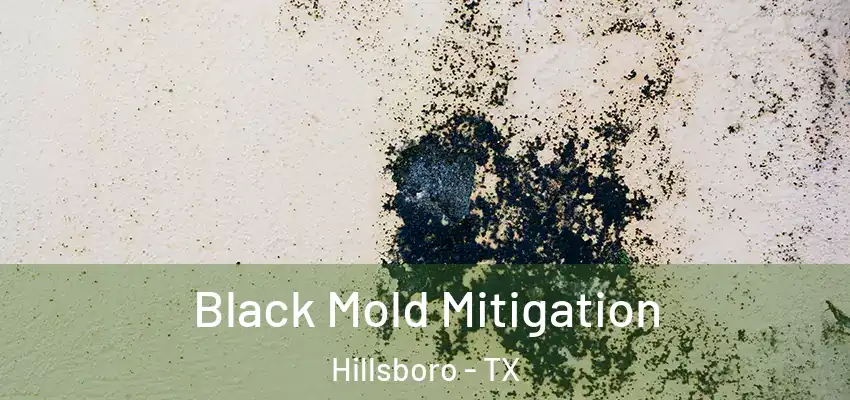 Black Mold Mitigation Hillsboro - TX