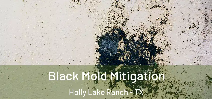 Black Mold Mitigation Holly Lake Ranch - TX