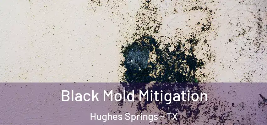  Black Mold Mitigation Hughes Springs - TX