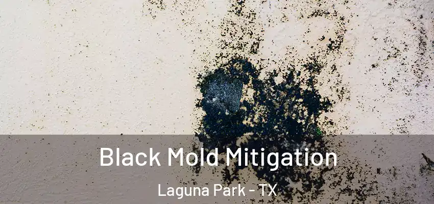 Black Mold Mitigation Laguna Park - TX