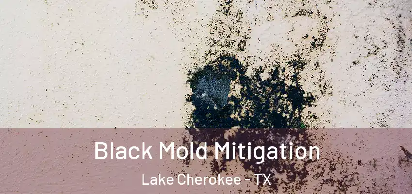  Black Mold Mitigation Lake Cherokee - TX