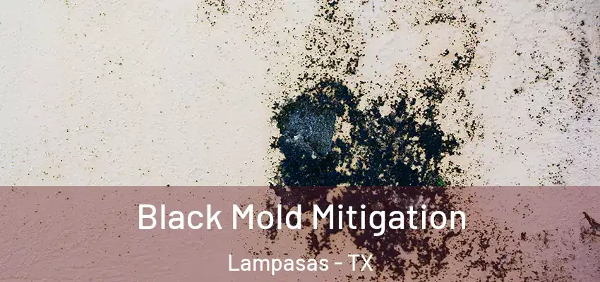  Black Mold Mitigation Lampasas - TX