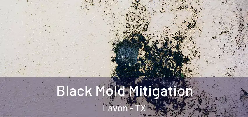 Black Mold Mitigation Lavon - TX
