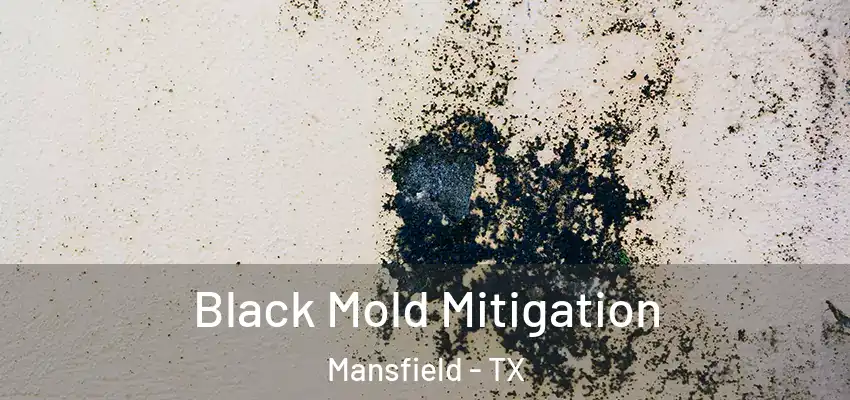 Black Mold Mitigation Mansfield - TX