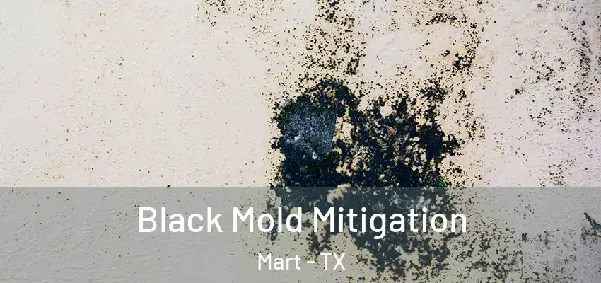  Black Mold Mitigation Mart - TX